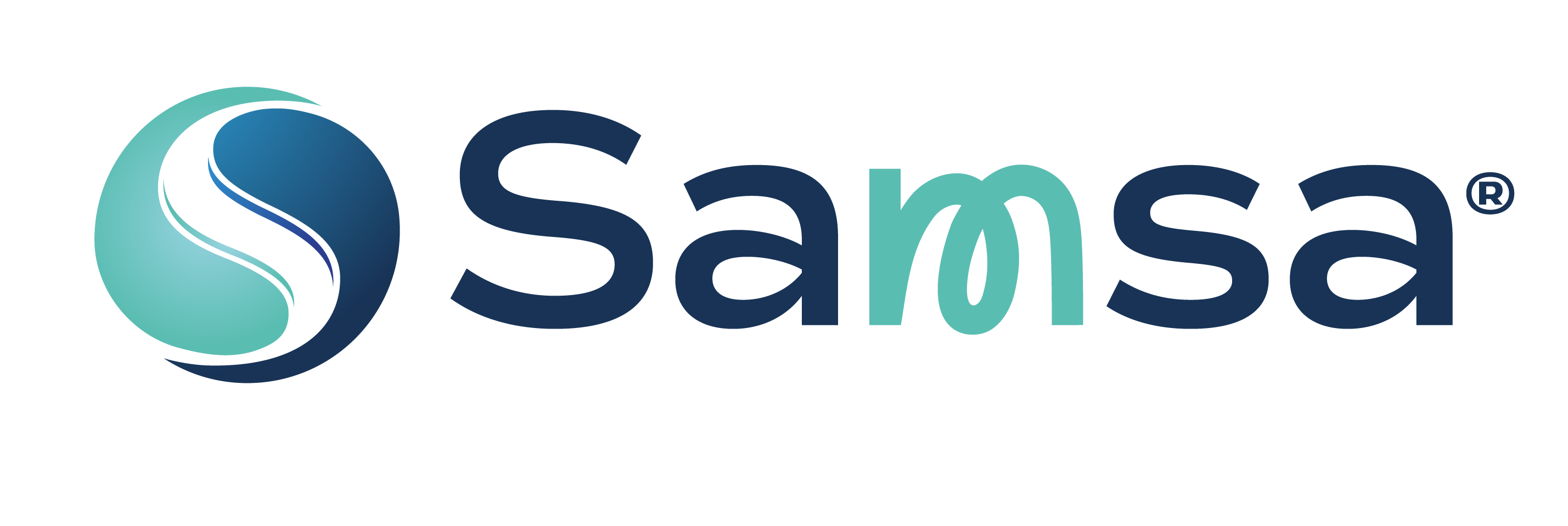 Samsa — Transformación & desarrollo